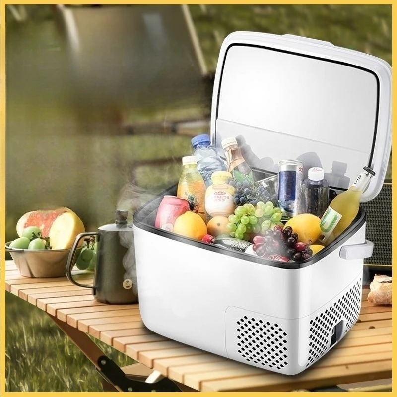 220V /12V /24V Car Refrigerato - Outdoor Furniture Zone 评论和价格
